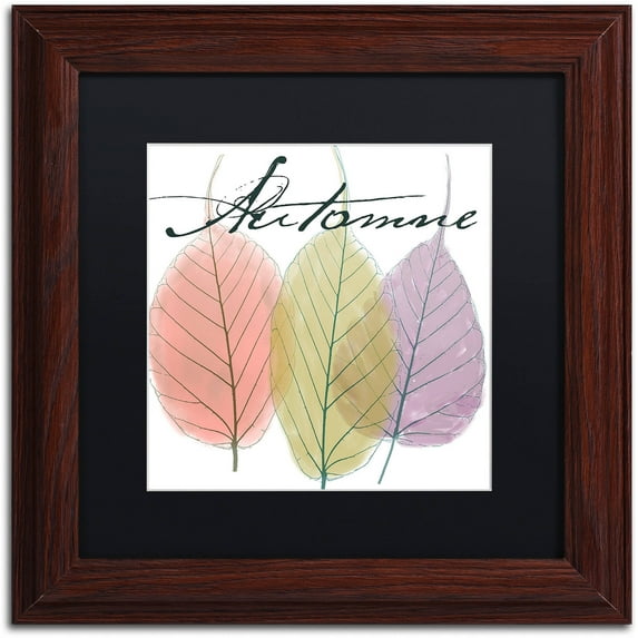 Trademark Fine Art "Seasons II" Canvas Art by Color Bakery Black Matte, Wood Frame