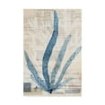 thumbnail image 1 of Trademark Fine Art 'Seaweed Arrangement II' Canvas Art by Vision Studio, 1 of 4