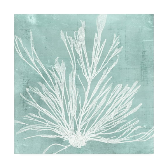 Trademark Fine Art 'Seaweed on Aqua IX' Canvas Art by Vision Studio
