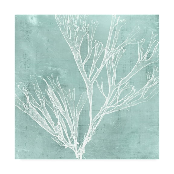 Trademark Fine Art 'Seaweed on Aqua VII' Canvas Art by Vision Studio