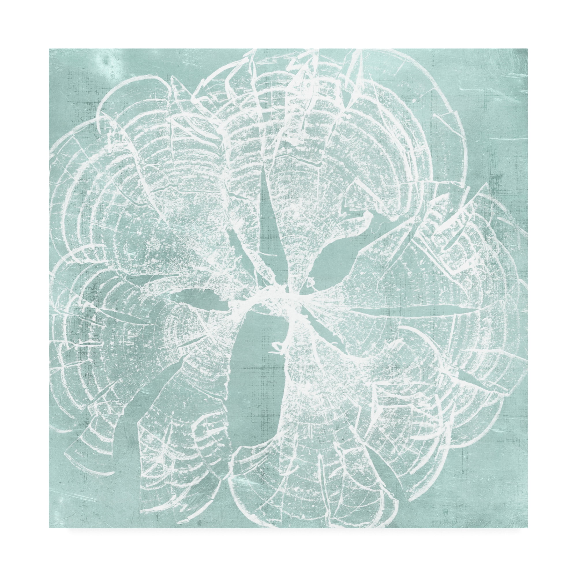 Trademark Fine Art 'Seaweed on Aqua VIII' Canvas Art by Vision Studio