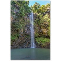 Trademark Fine Art 'Secret Falls' Canvas Art by Pierre Leclerc
