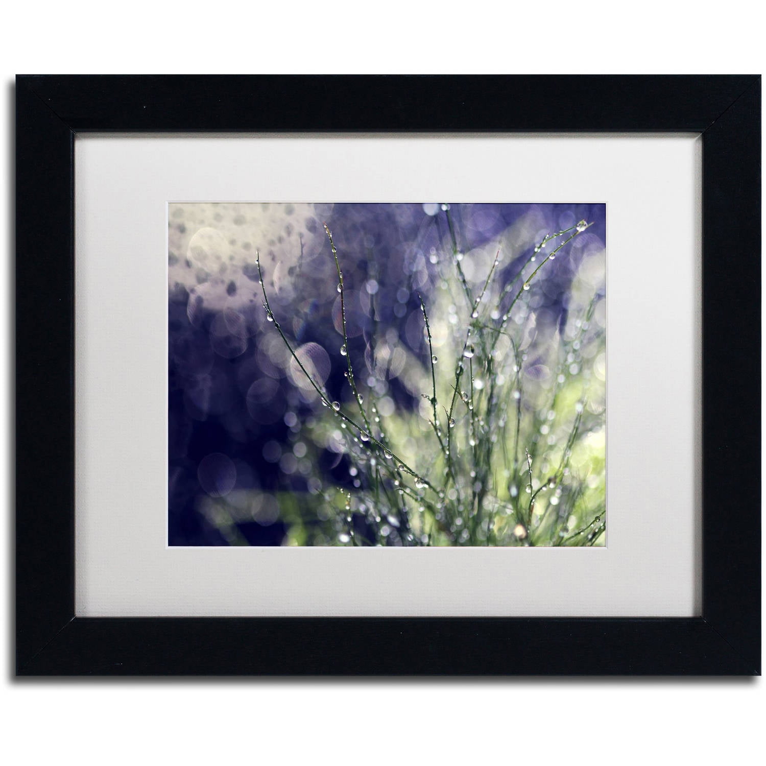 Secrets of Nature Green and Purple Abstract Canvas Print with Black Frame