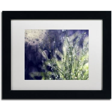 Trademark Fine Art "Secrets of Nature" Canvas Art by Beata Czyzowska Young, White Matte, Black Frame