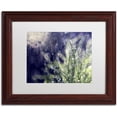 thumbnail image 1 of Trademark Fine Art "Secrets of Nature" Canvas Art by Beata Czyzowska Young, White Matte, Wood Frame, 1 of 1