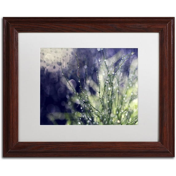 Trademark Fine Art "Secrets of Nature" Canvas Art by Beata Czyzowska Young, White Matte, Wood Frame