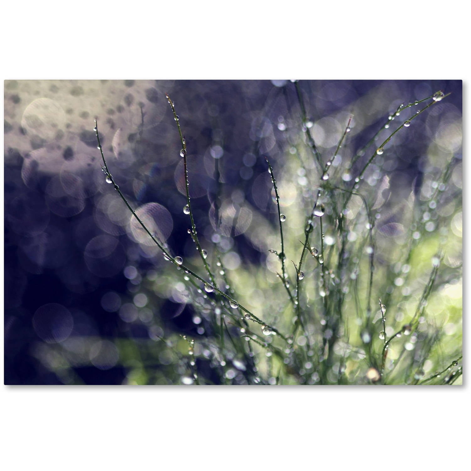 Secrets of Nature Green Abstract Canvas Print, 15" x 20"