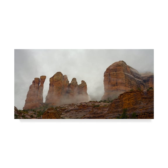 Trademark Fine Art 'Sedona Fog' Canvas Art by Janice Sullivan
