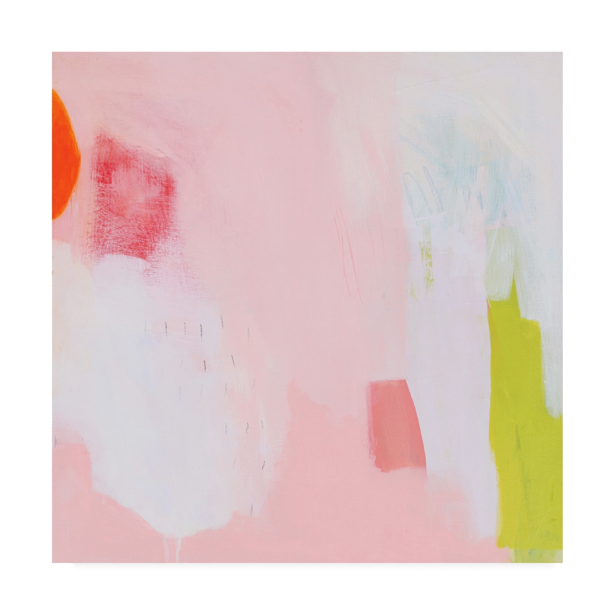 Trademark Fine Art 'Seed Pack' Canvas Art by Melissa Donoh