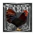 thumbnail image 1 of Trademark Fine Art 'Select Farm Rooster' Canvas Art by Art Licensing Studio, 1 of 3
