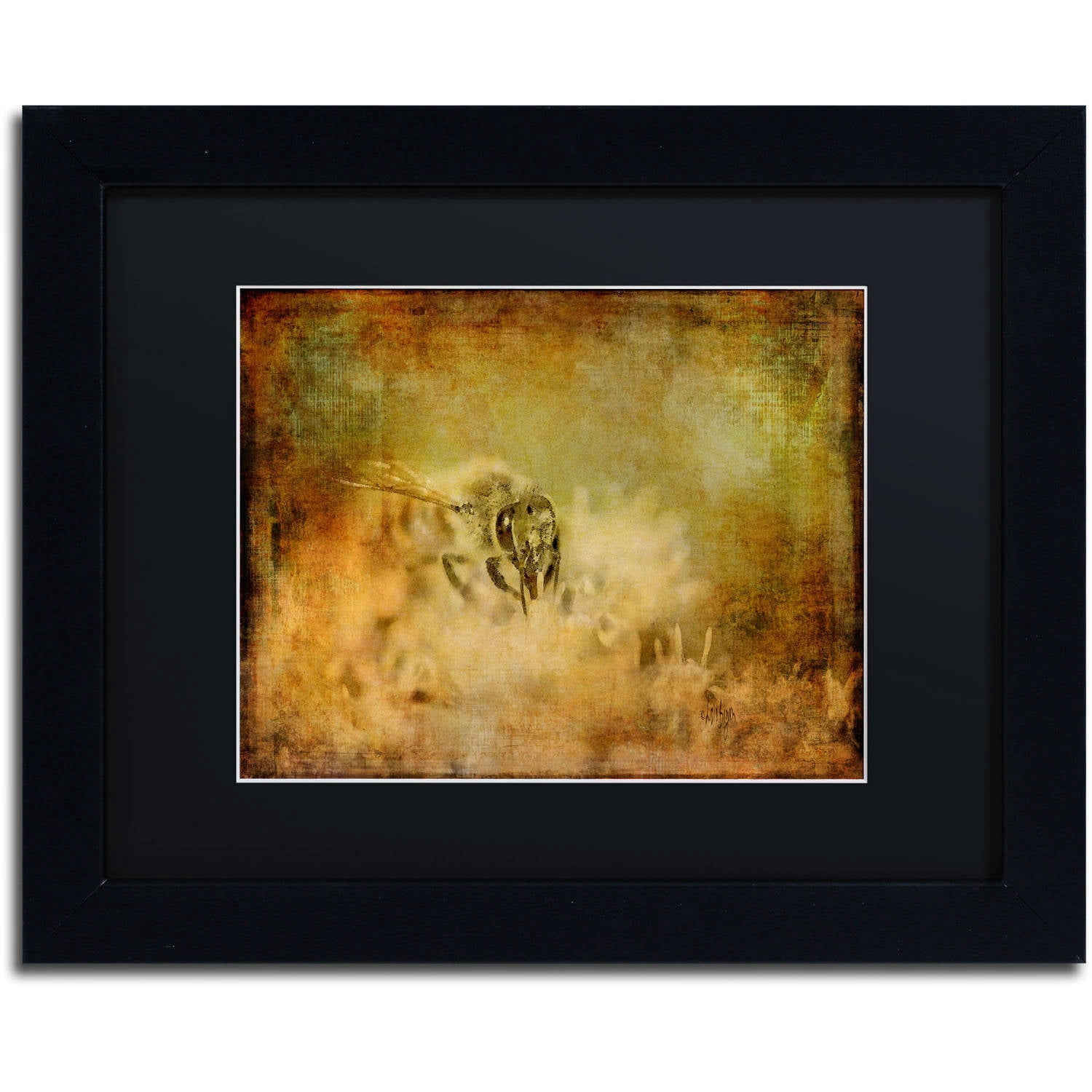 Trademark Fine Art "Send the Bees Love" Canvas Art by Lois Bryan, Black Matte, Black Frame