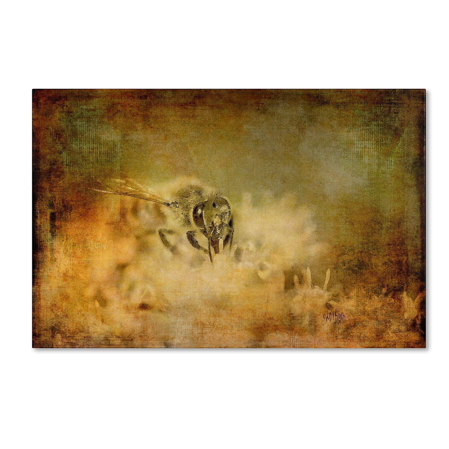 Trademark Fine Art "Send the Bees Love" Canvas Art by Lois Bryan