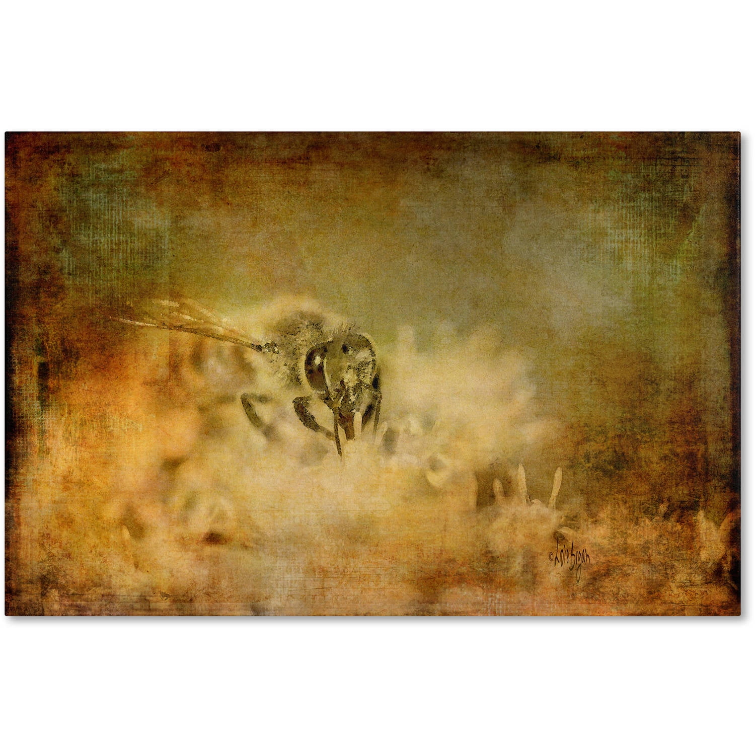 Trademark Fine Art "Send the Bees Love" Canvas Art by Lois Bryan