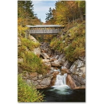 Trademark Fine Art 'Sentinel Bridge' Canvas Art by Michael Blanchette Photography