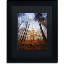 Trademark Fine Art "Sentinel" Canvas Art by Philippe Sainte-Laudy Black Matte, Black Frame