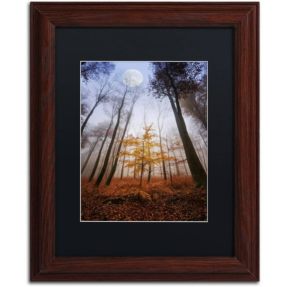 Trademark Fine Art "Sentinel" Canvas Art by Philippe Sainte-Laudy Black Matte, Wood Frame