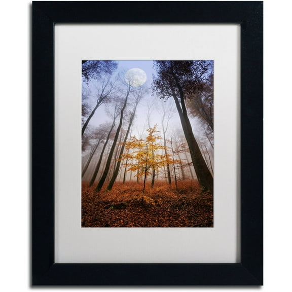 Trademark Fine Art "Sentinel" Canvas Art by Philippe Sainte-Laudy White Matte, Black Frame