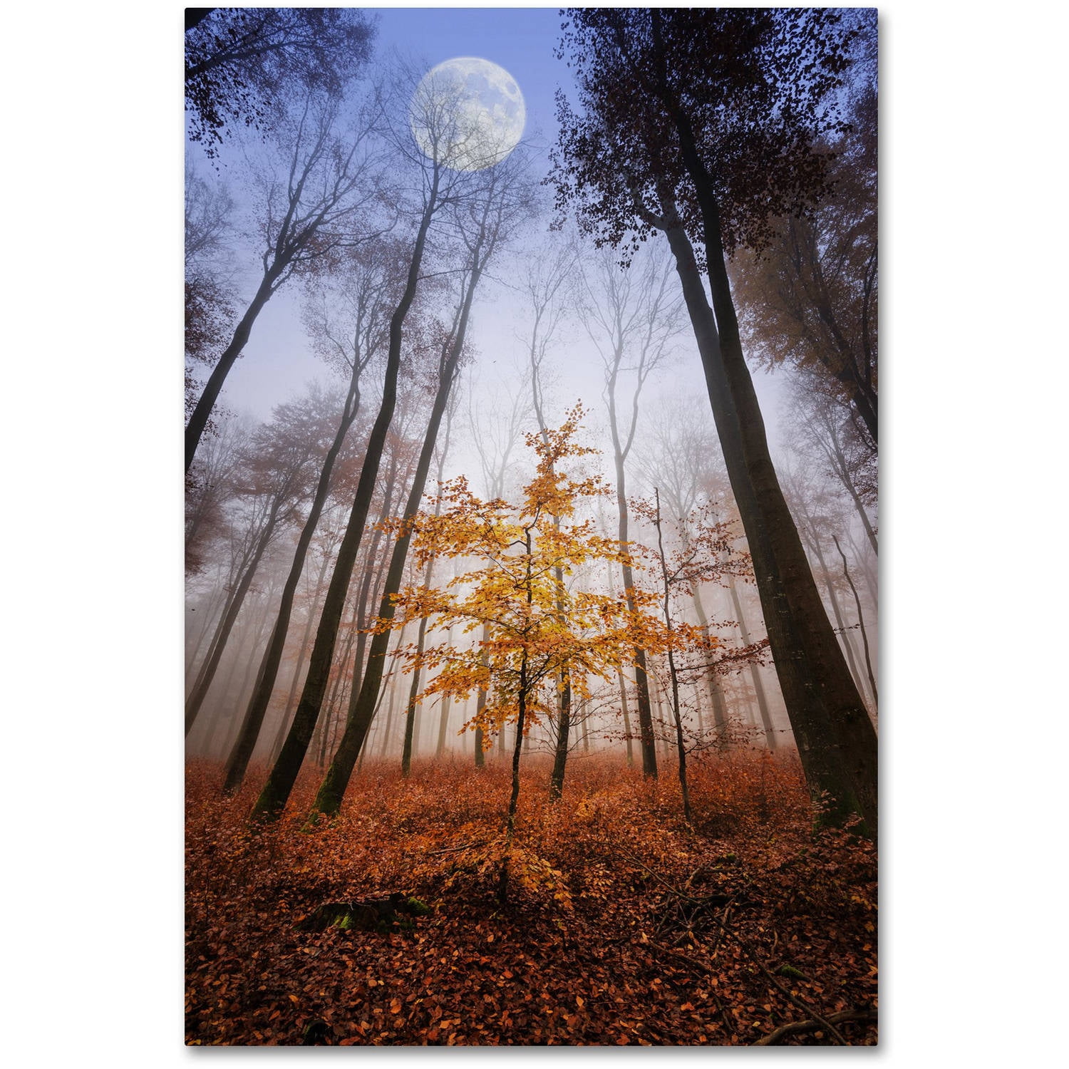 Trademark Fine Art "Sentinel" Canvas Art by Philippe Sainte-Laudy