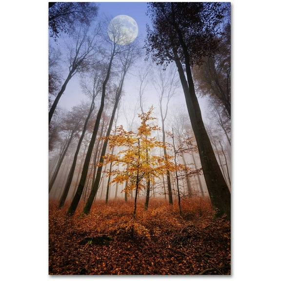 Trademark Fine Art "Sentinel" Canvas Art by Philippe Sainte-Laudy