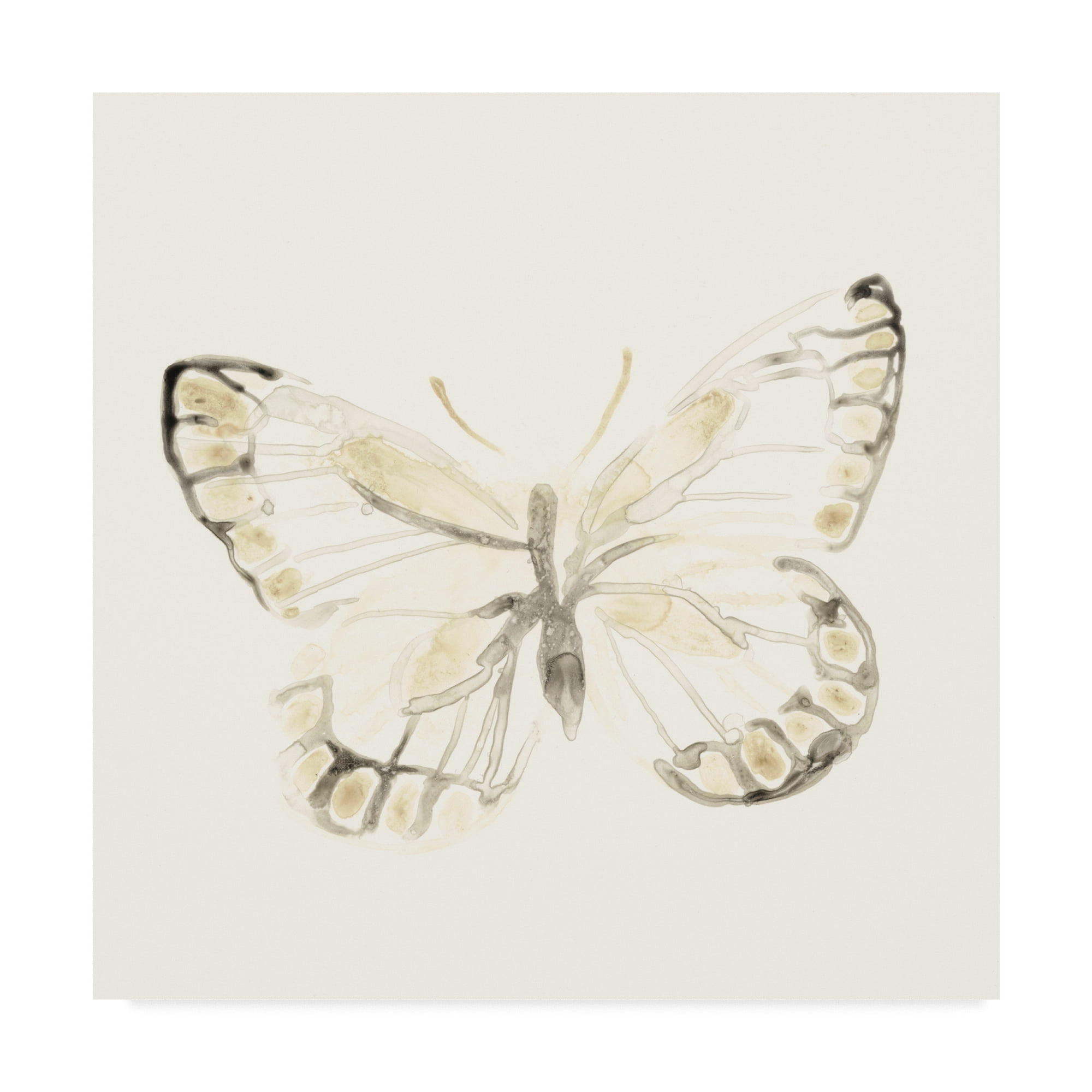 Trademark Fine Art 'Sepia Butterfly Impressions I' Canvas Art by June Erica Vess