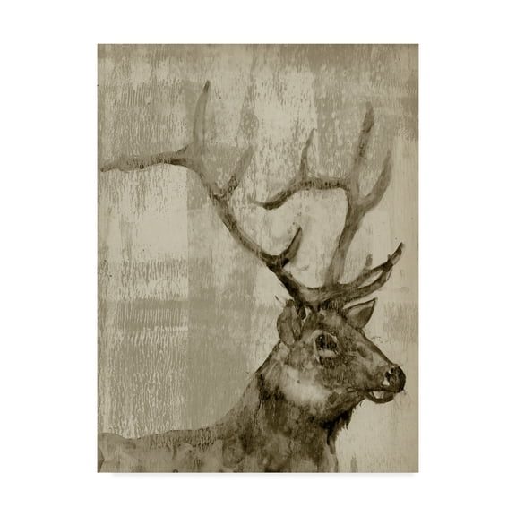 Trademark Fine Art 'Sepia Elk' Canvas Art by Jennifer Goldberger