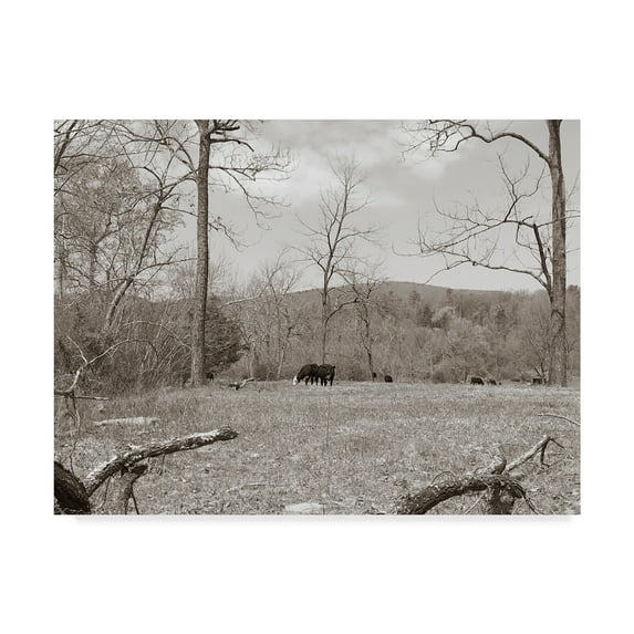 Trademark Fine Art 'Sepia Farm Study II' Canvas Art by Alicia Ludwig