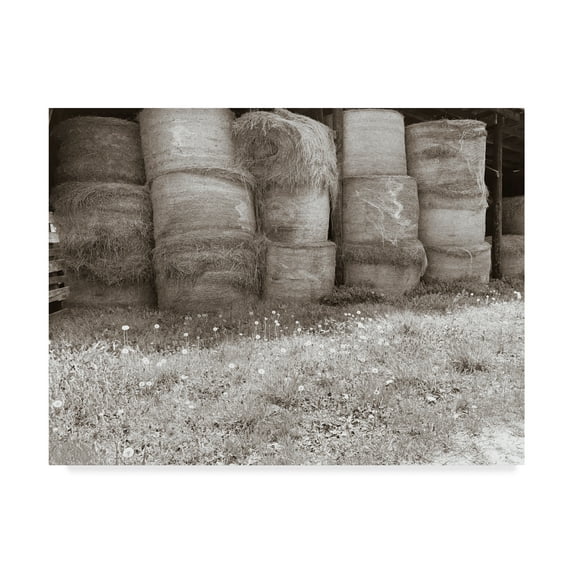 Trademark Fine Art 'Sepia Farm Study V' Canvas Art by Alicia Ludwig