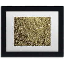 Trademark Fine Art 'Sepia Leaf Texture' Canvas Art by Cora Niele, White Matte, Black Frame