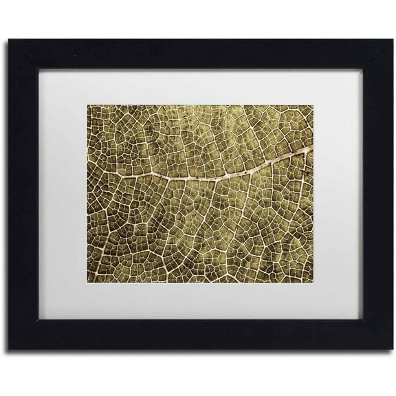 Trademark Fine Art 'Sepia Leaf Texture' Canvas Art by Cora Niele, White Matte, Black Frame