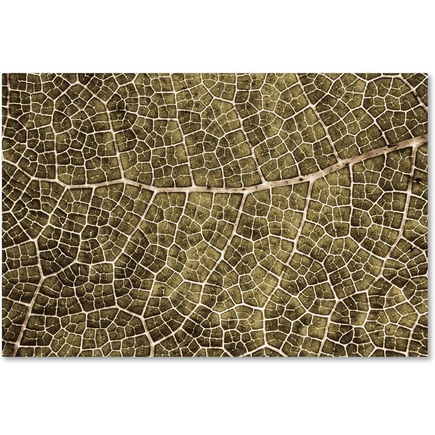 Sepia Leaf Texture Abstract Framed Canvas Art, 16x24-Inch