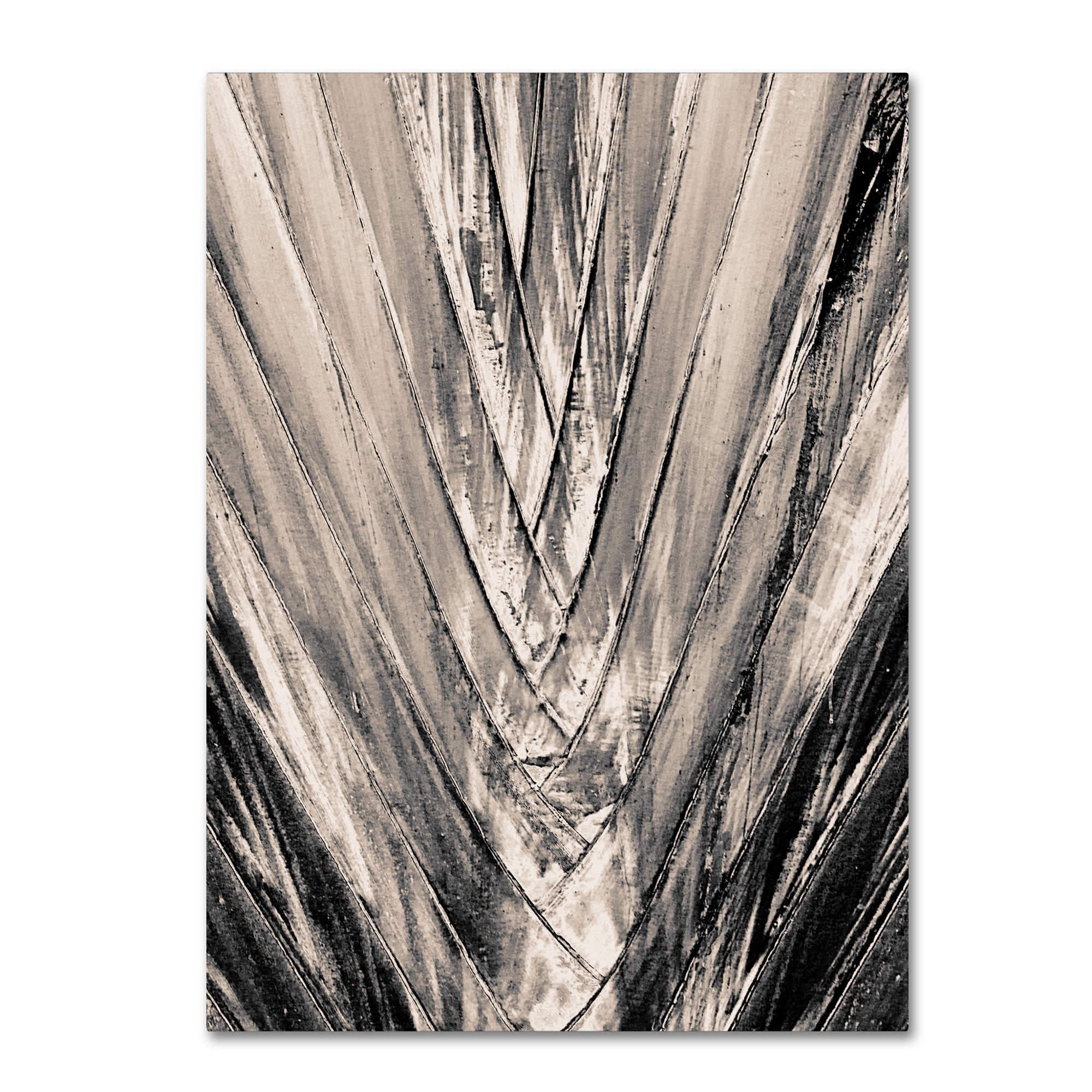 Sepia Palm Abstract Canvas Art in Natural Tones