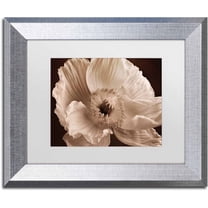 Trademark Fine Art 'Sepia Poppy I' Canvas Art by Cora Niele, White Matte, Silver Frame