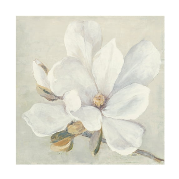 Trademark Fine Art 'Serene Magnolia' Canvas Art by Julia Purinton