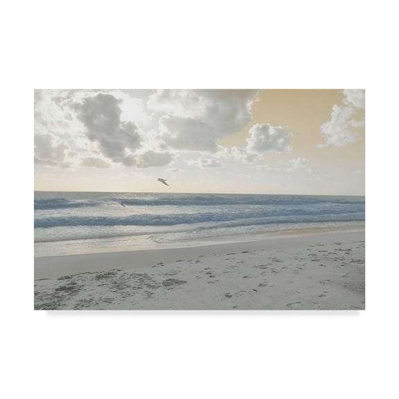 Trademark Fine Art 'Serene Sea 1' Canvas Art by Sharon Chandler
