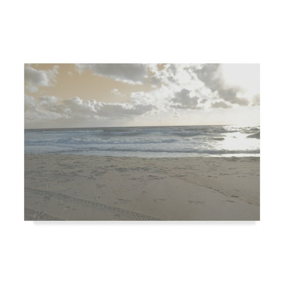 Trademark Fine Art 'Serene Sea 2' Canvas Art by Sharon Chandler