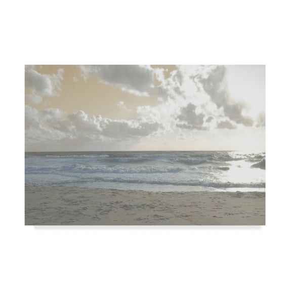 Trademark Fine Art 'Serene Sea 3' Canvas Art by Sharon Chandler