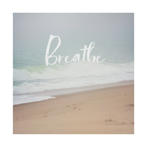 Trademark Fine Art 'Serene Sea I' Canvas Art by Laura Marshall