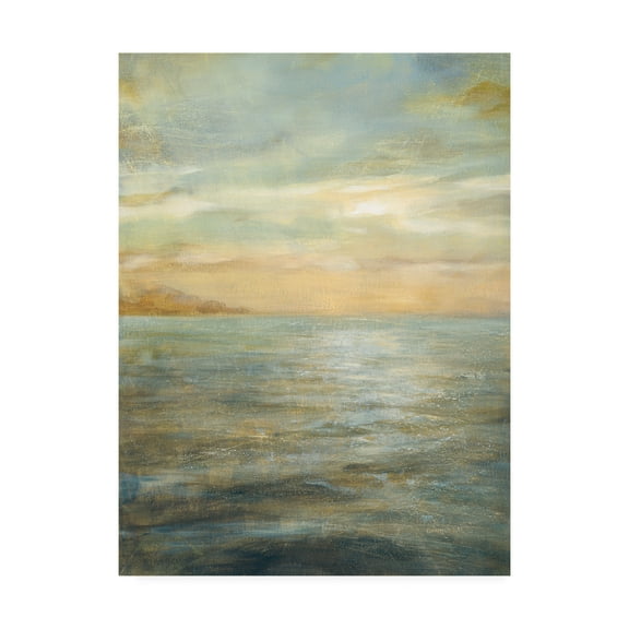 Trademark Fine Art 'Serene Sea II Painting' Canvas Art by Danhui Nai