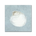 thumbnail image 1 of Trademark Fine Art 'Serene Shells II' Canvas Art by James Wiens, 1 of 3