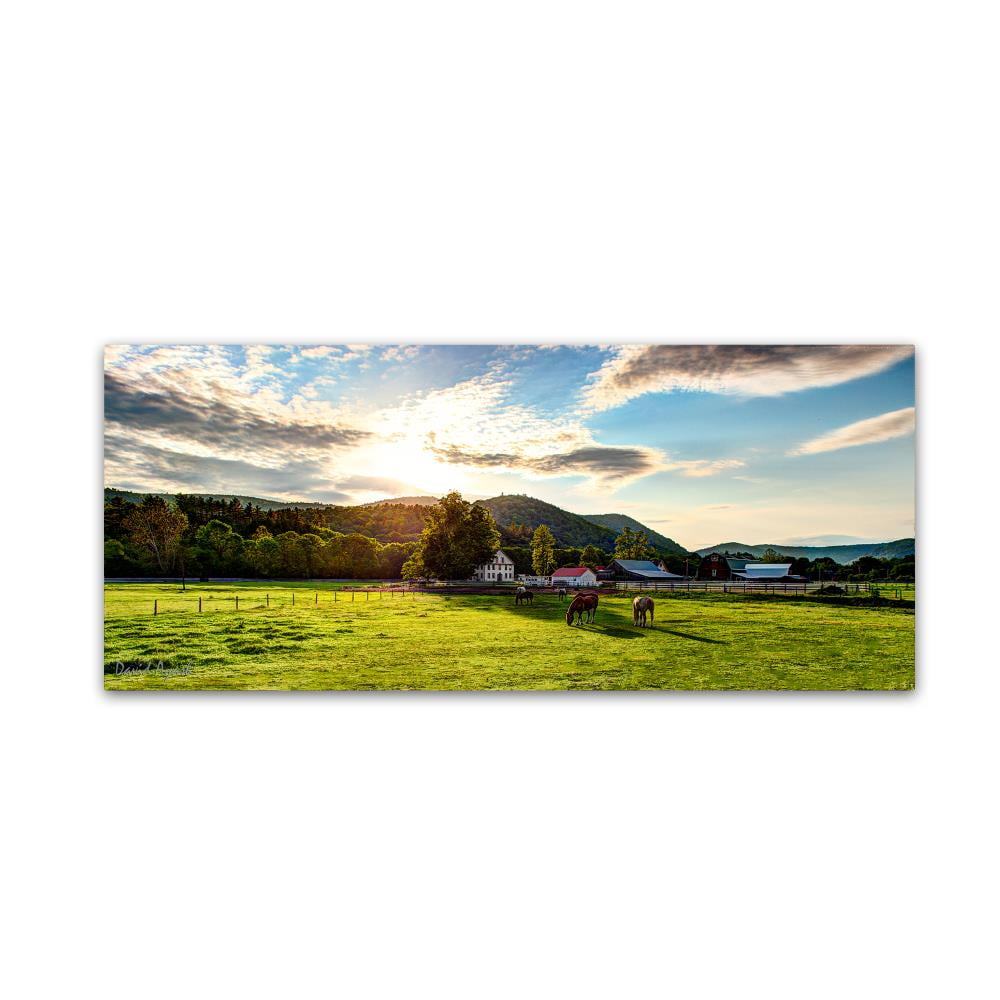 Trademark Fine Art "Serene Sunset - Vermont" Canvas Art by David Ayash