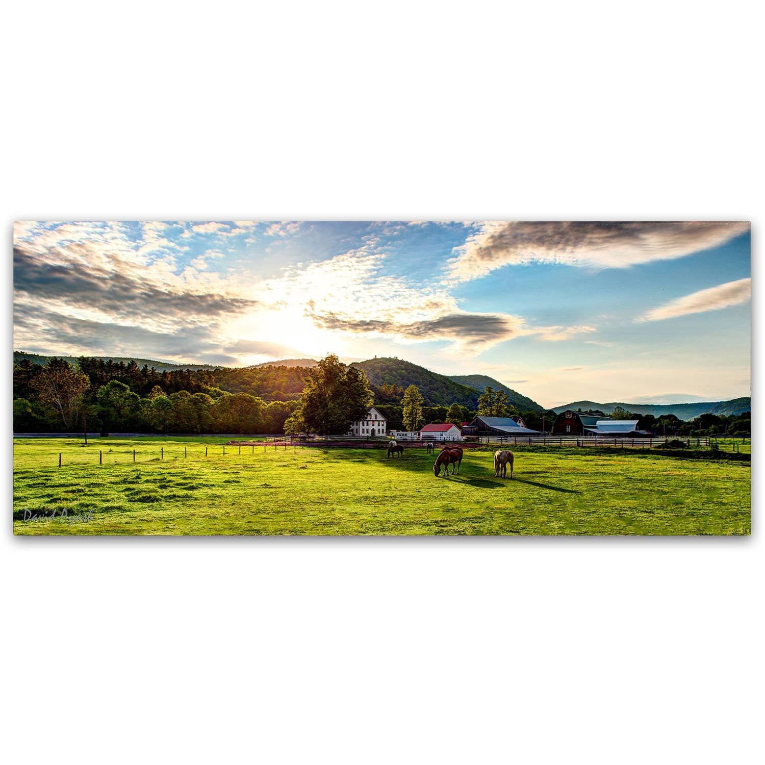 Trademark Fine Art ''Serene Sunset - Vermont'' by David Ayash 8" x 19" Canvas Art (MA0641-C819GG)