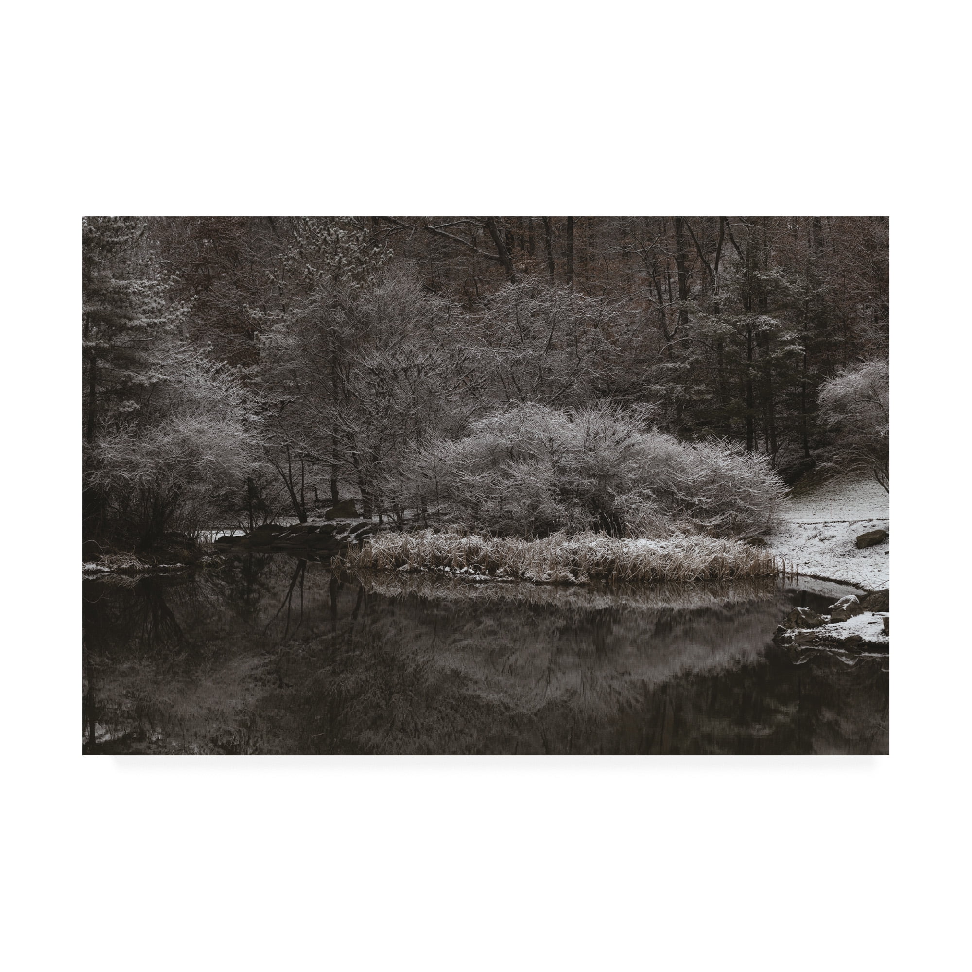 Trademark Fine Art 'Serene Winter Scene' Canvas Art by Kurt Shaffer Photographs
