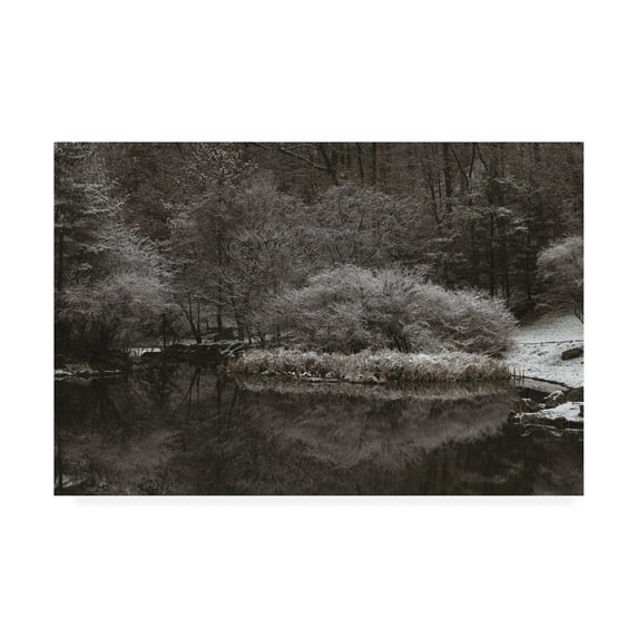 Trademark Fine Art 'Serene Winter Scene' Canvas Art by Kurt Shaffer Photographs