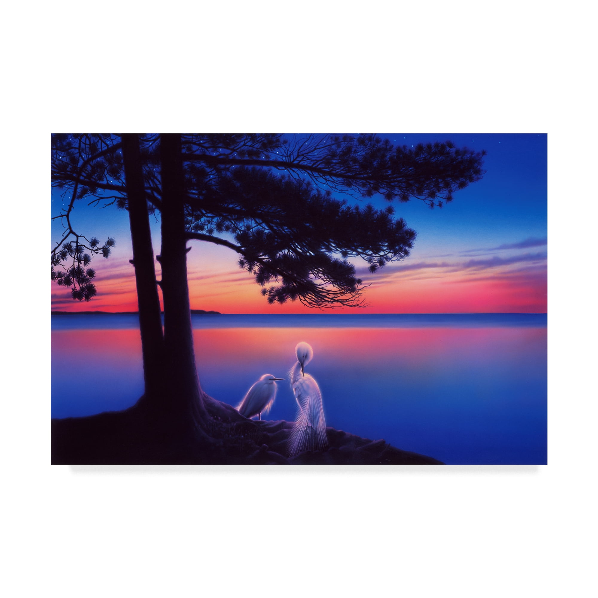 Trademark Fine Art 'Serenity' Canvas Art by Kirk Reinert