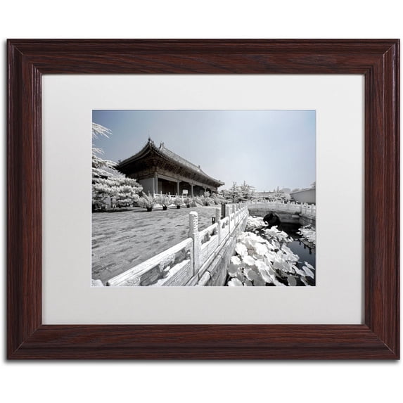 Trademark Fine Art "Serenity III" Canvas Art by Philippe Hugonnard, White Matte, Wood Frame