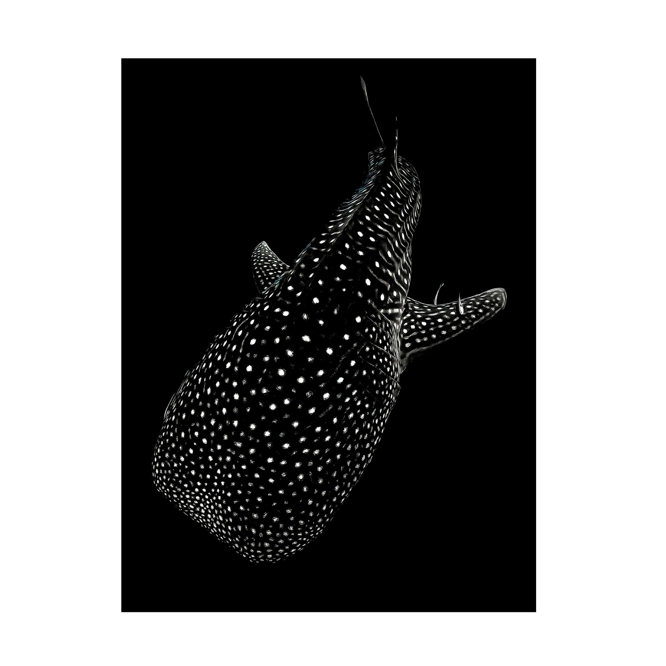 Trademark Fine Art Serge Melesan Spotted sea Canvas Wall Art