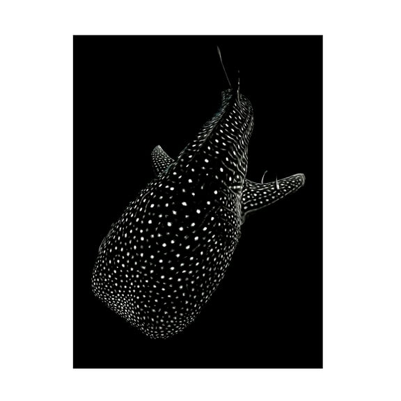 Trademark Fine Art Serge Melesan Spotted sea Canvas Wall Art