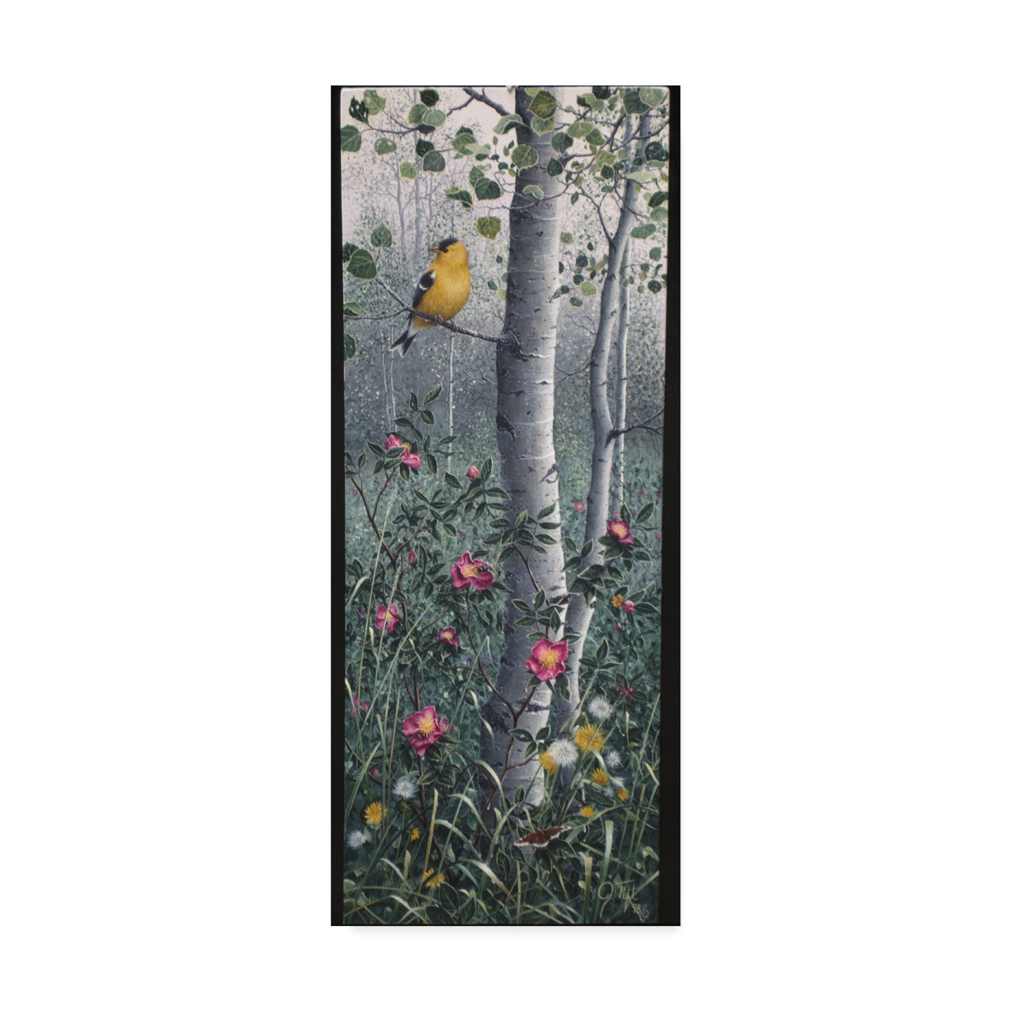 Trademark Fine Art 'Shades Of Summer' Canvas Art by Jeff Tift