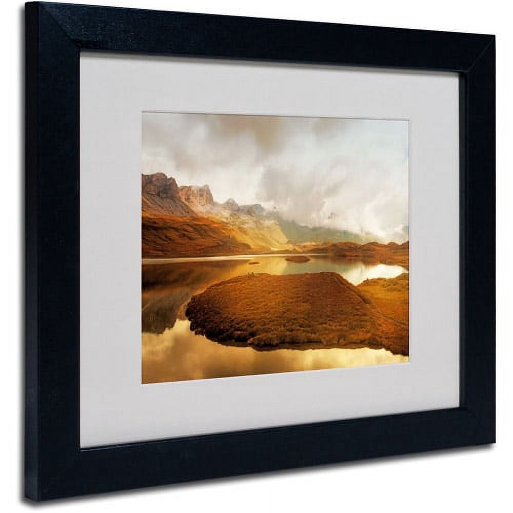 Trademark Fine Art "Shades of Gold" Canvas Art by Philippe Sainte-Laudy, Black Frame