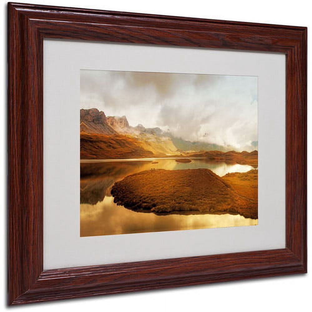 Trademark Fine Art "Shades of Gold" Canvas Art by Philippe Sainte-Laudy, Wood Frame